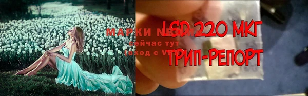 СК Володарск