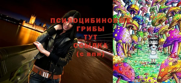 mdpv Волоколамск