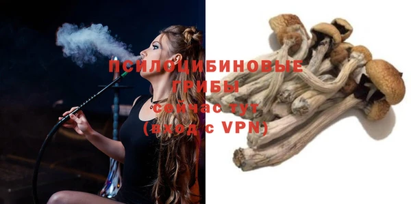 mdpv Волоколамск