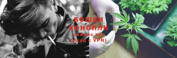СК Волосово