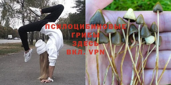 СК Волосово