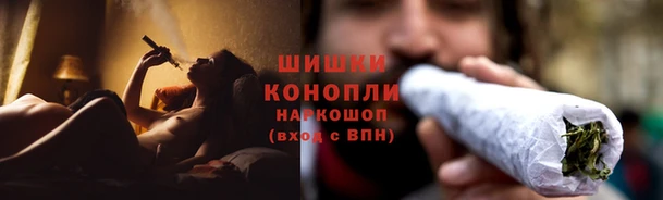 СК Волосово