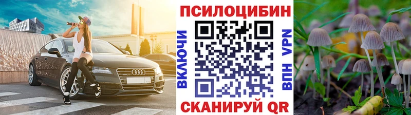 Галлюциногенные грибы Psilocybe  Чишмы 